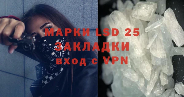 прущие грибы Абаза