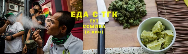 прущие грибы Абаза