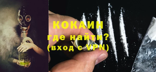 прущие грибы Абаза