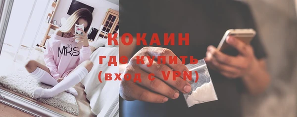 прущие грибы Абаза