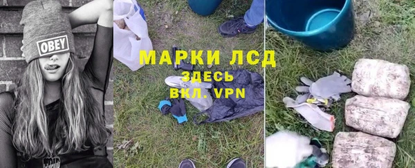 прущие грибы Абаза