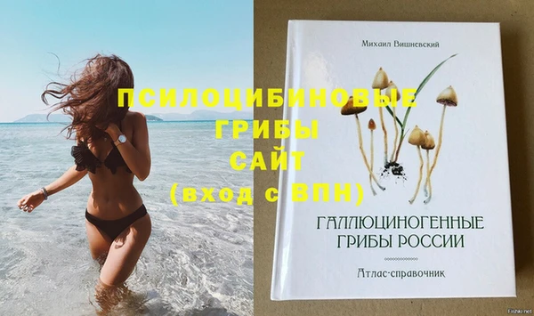 не бодяженный Абдулино