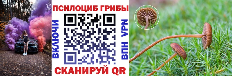 Галлюциногенные грибы Psilocybine cubensis  наркошоп  Сурск 